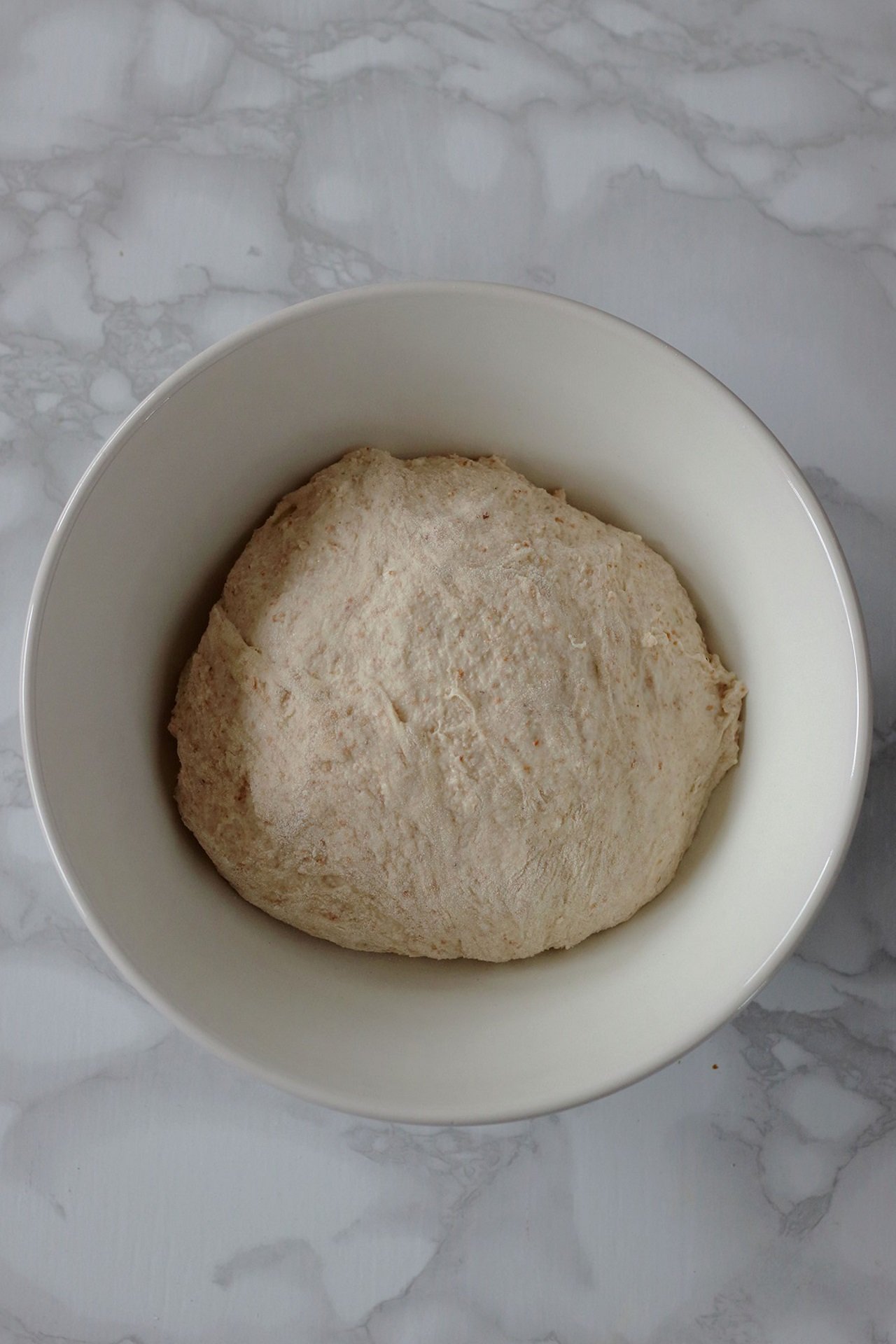 Impasto per pizza di Gabriele Bonci That's Amore!